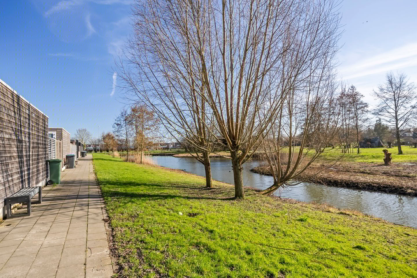 Photo 14 of Richter 102