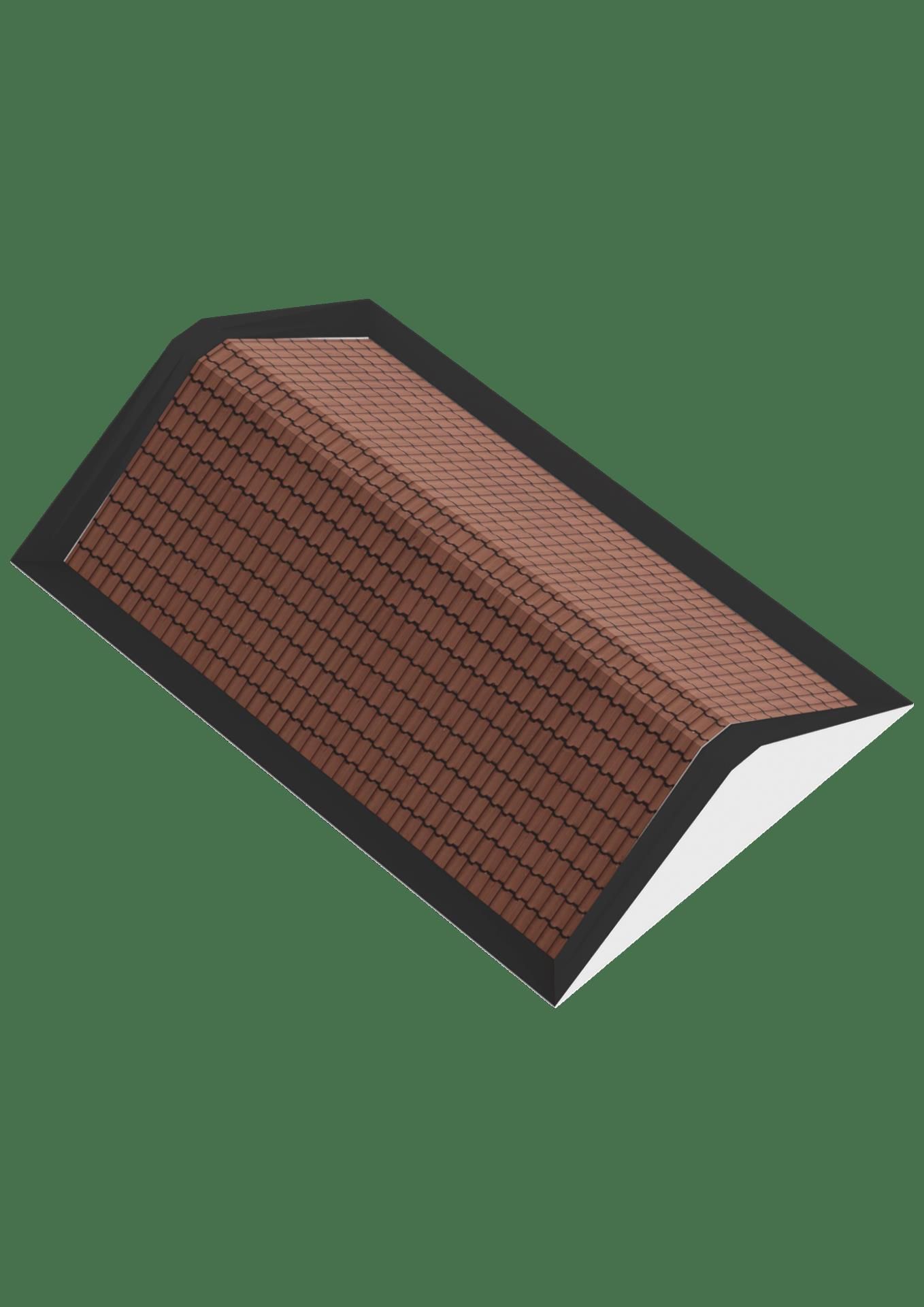 Photo 42 of Richter 102