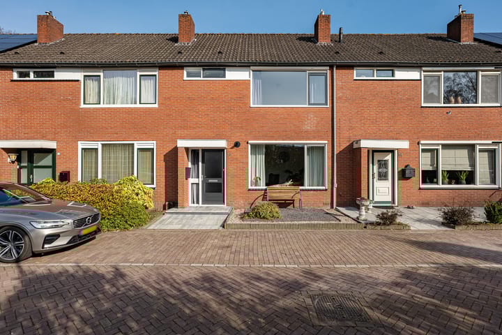 Korenberg 16 main image