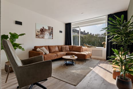 Korenberg 16 secondary image