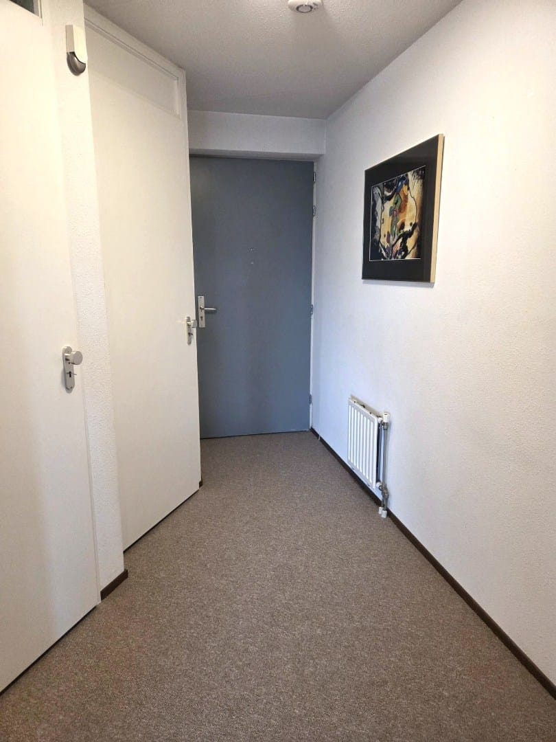 Foto 9 van Tivolistraat 166