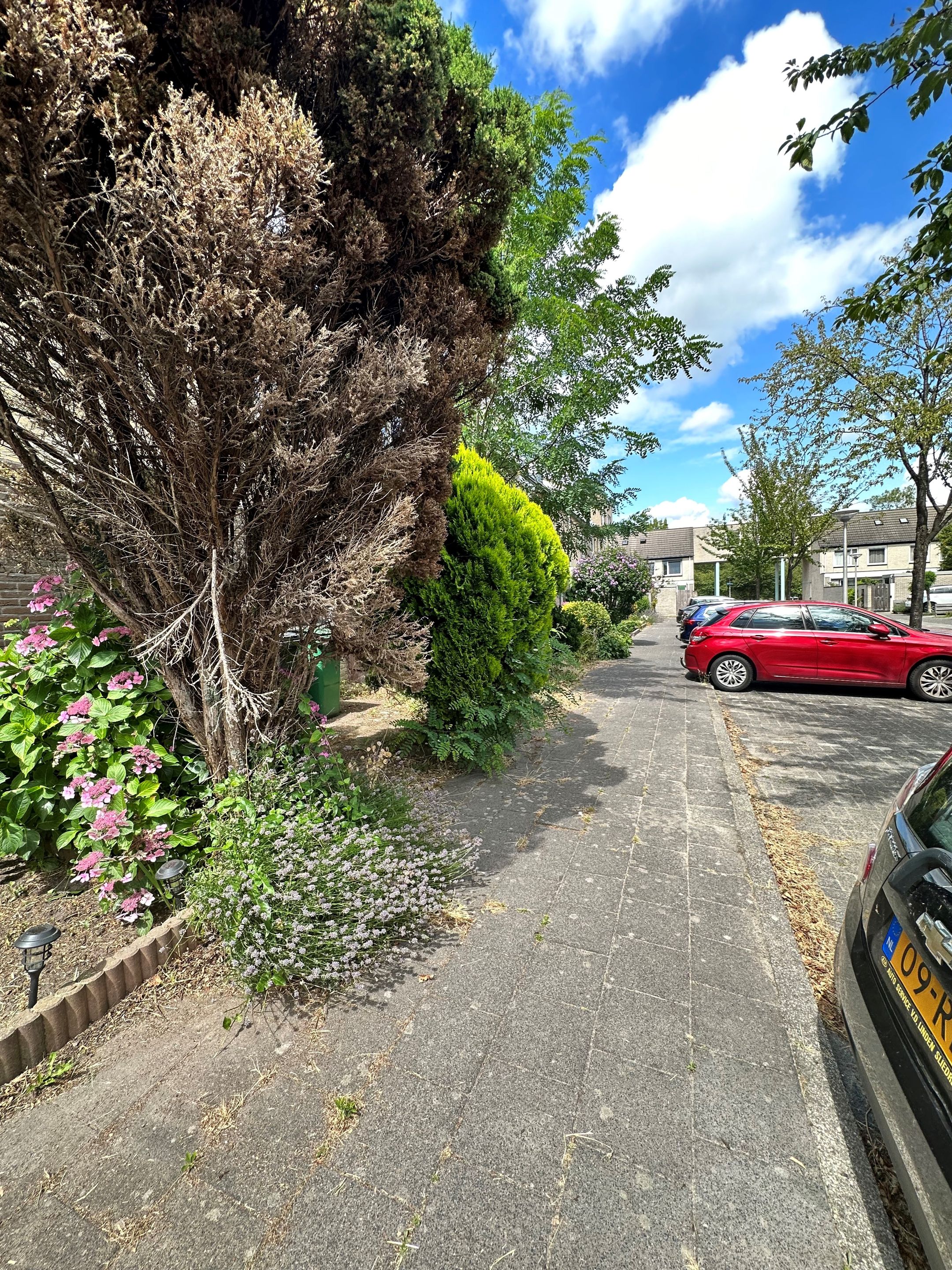 Foto 36 van Jo Vincentlaan 16