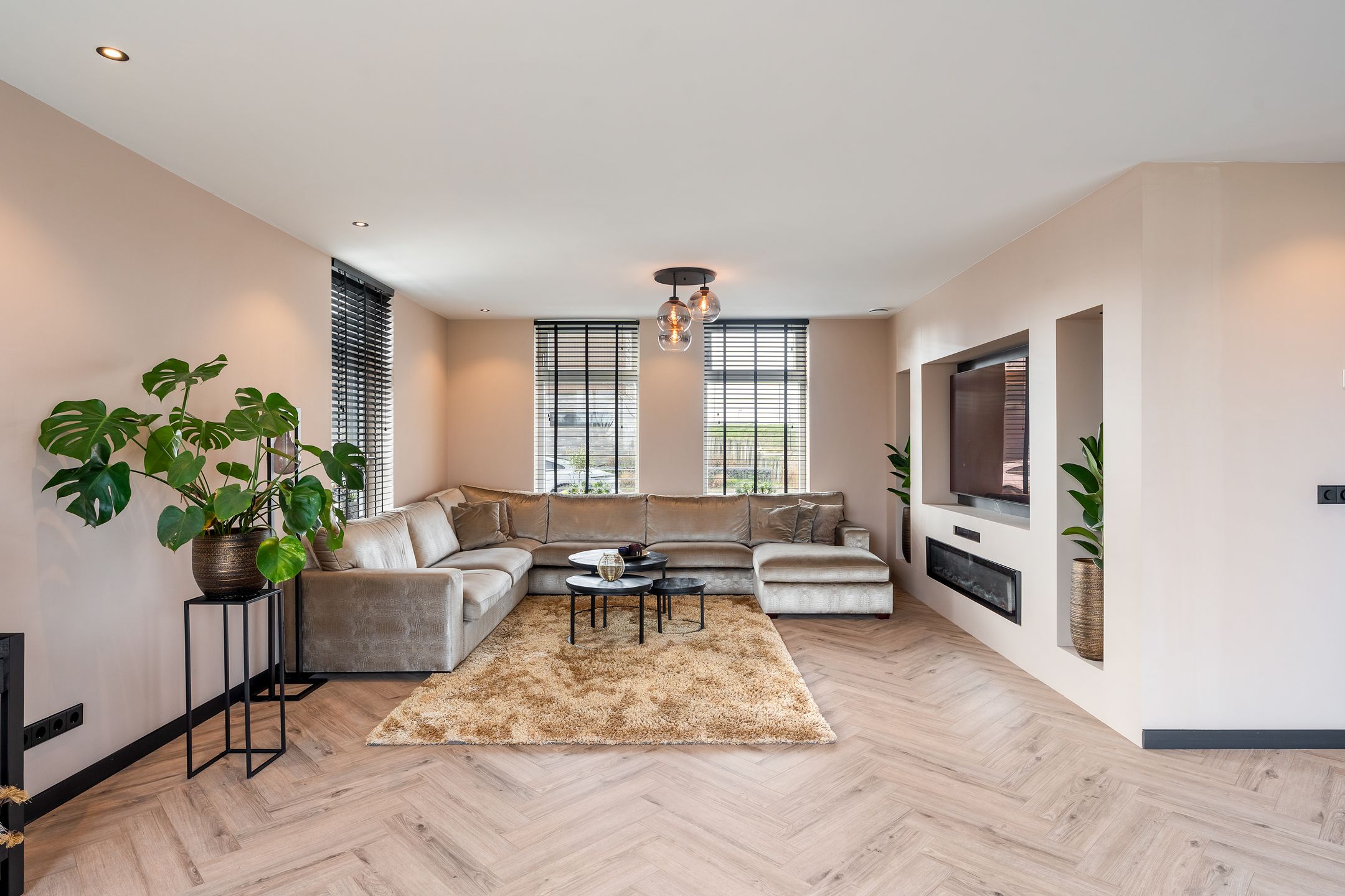 Foto 12 van Paltrokmolen 3-A