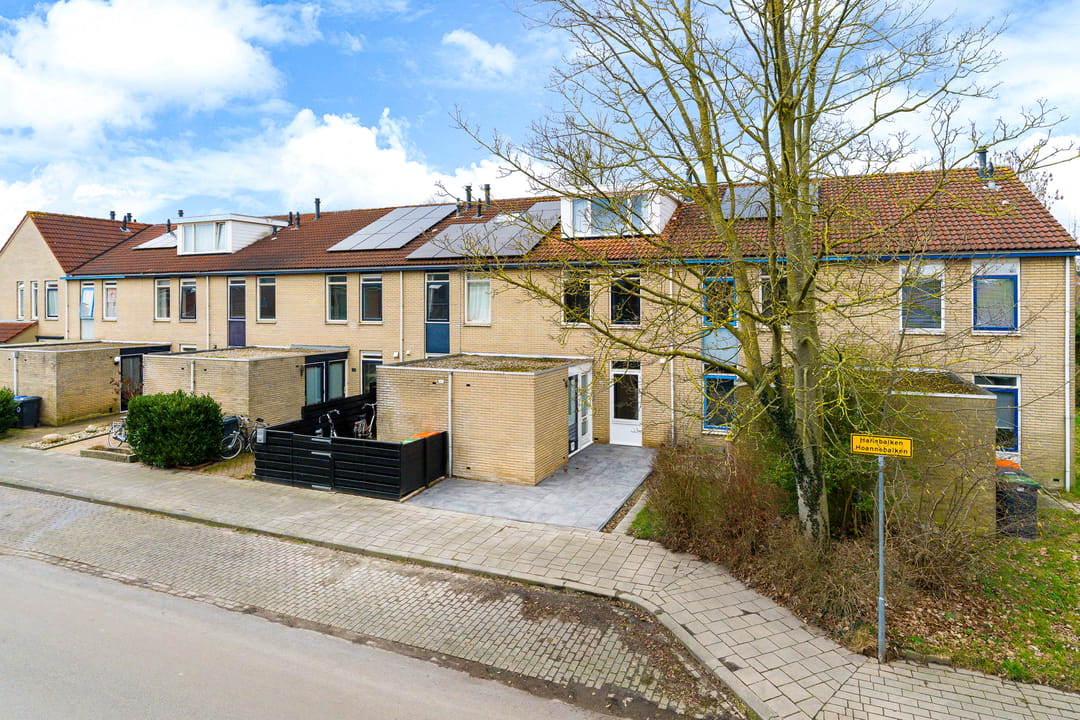 Foto 28 van Hanebalken 290