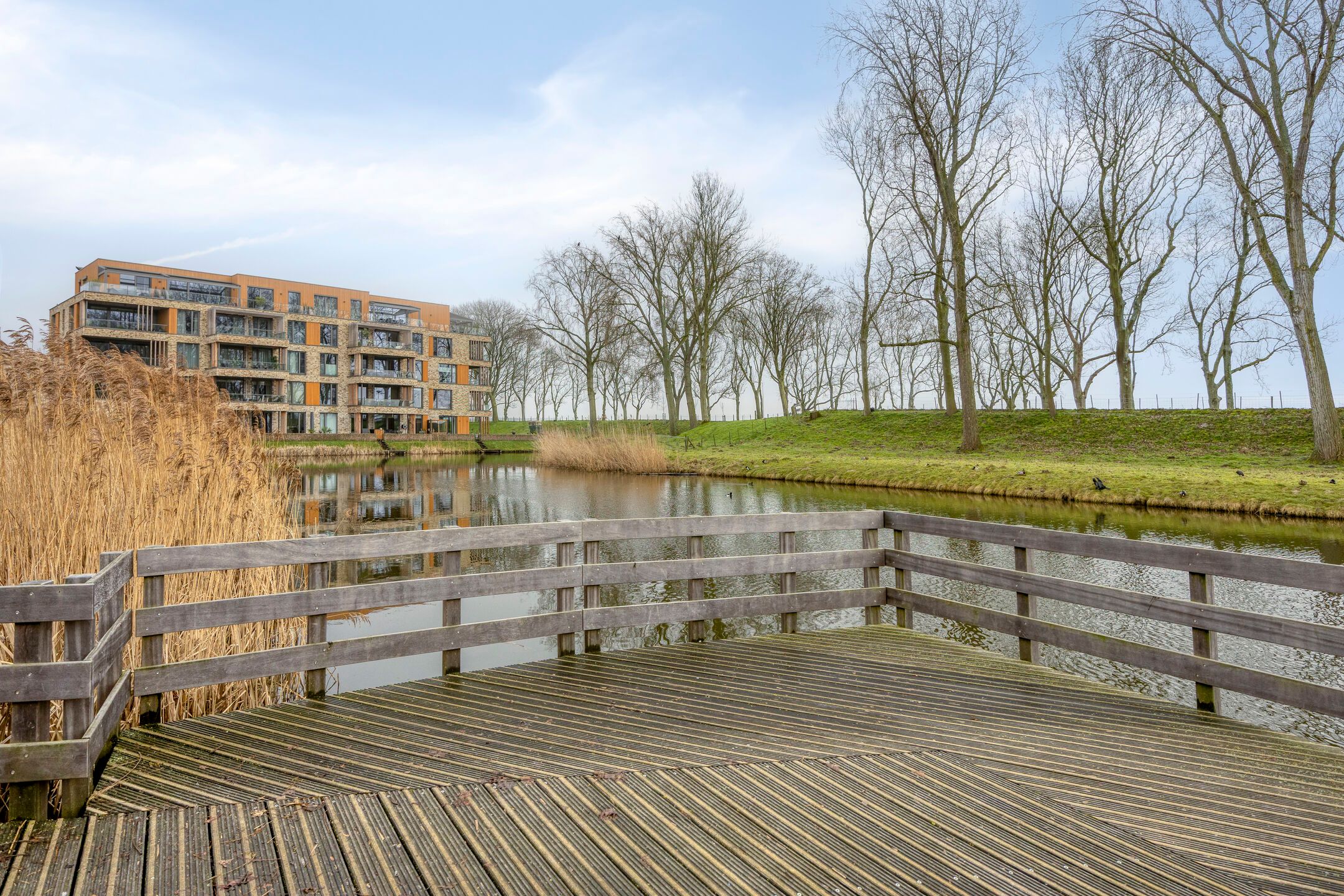 Foto 48 van Karel Appellaan 51