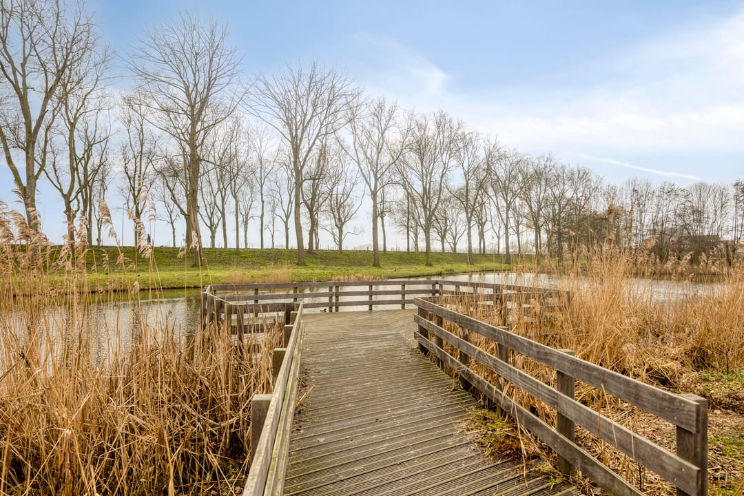 Foto 46 van Karel Appellaan 51