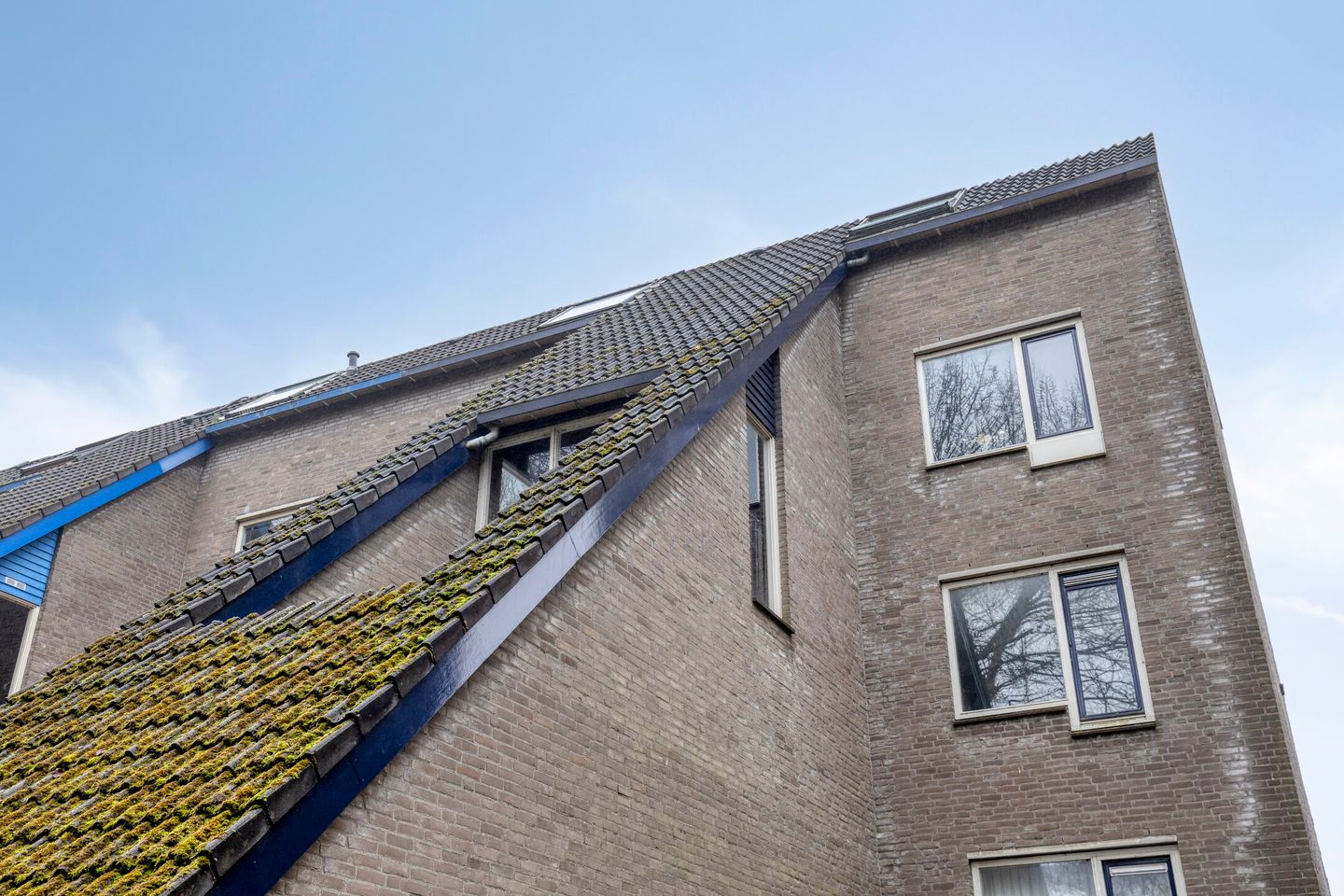 Foto 40 van Wingerdpark 78