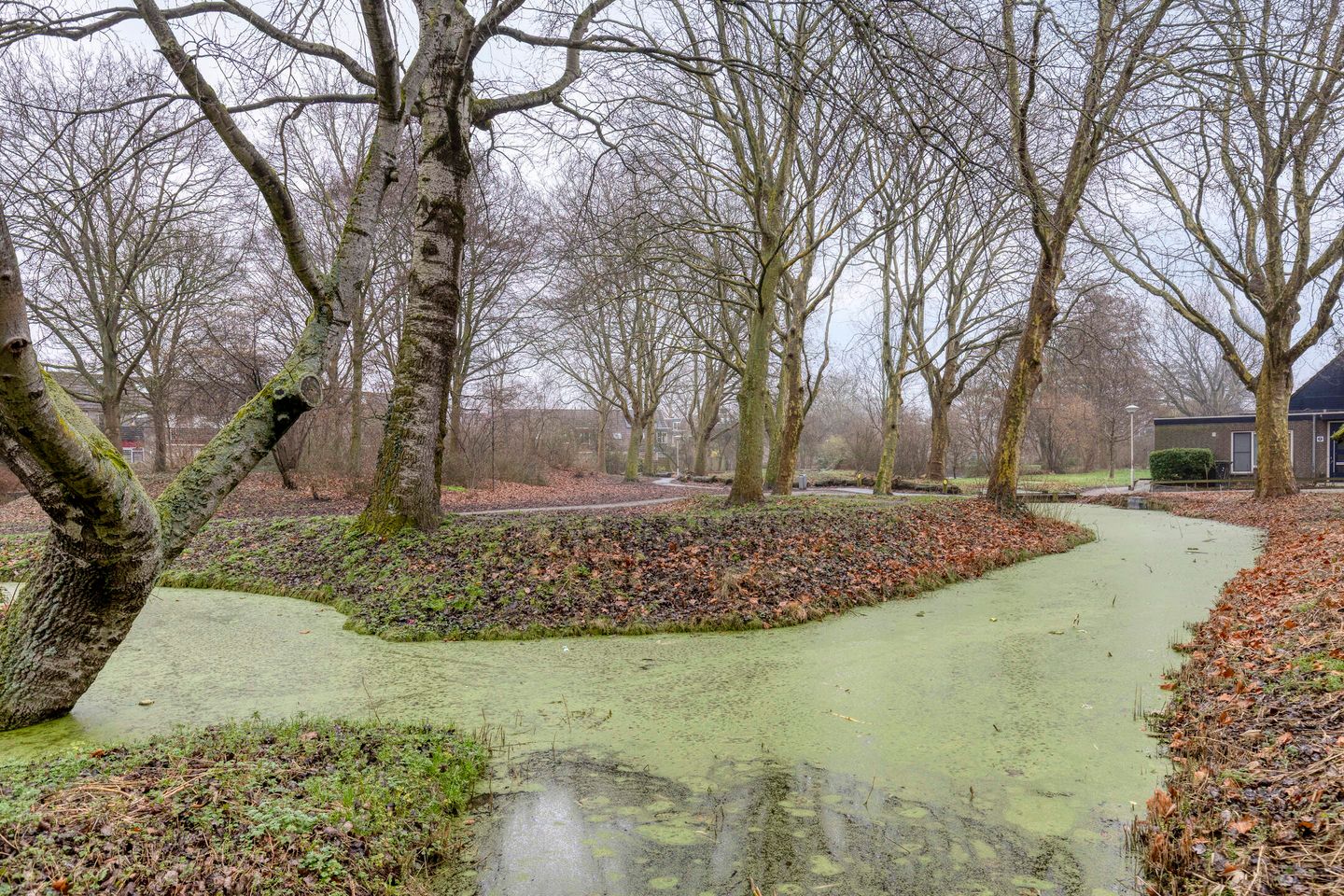 Foto 44 van Wingerdpark 78