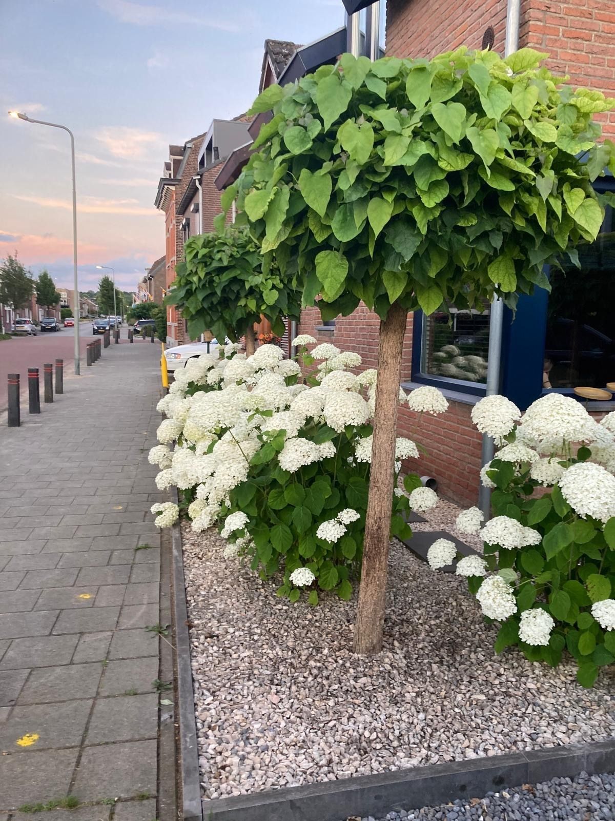 Photo 45 of Boomkensstraat 12