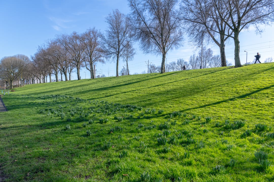 Foto 37 van Rotterdamsedijk 26-A