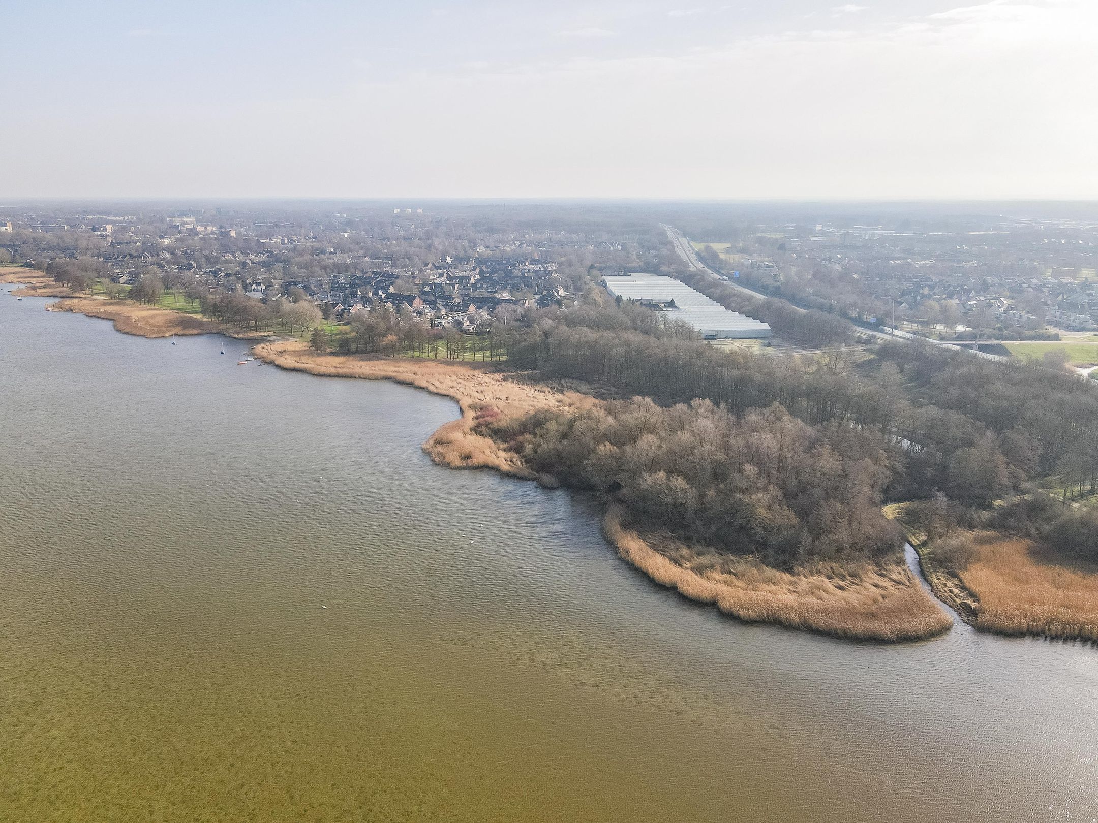 Foto 39 van Rietgorsmeen 5