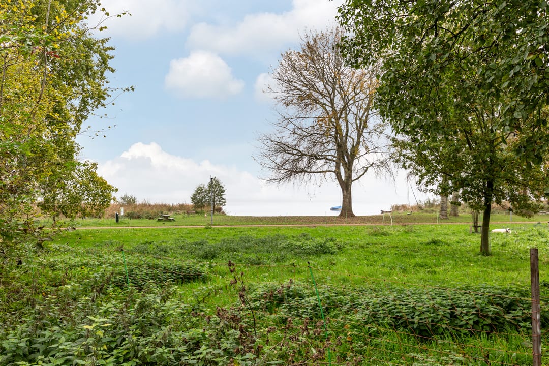 Foto 41 van Rietgorsmeen 5