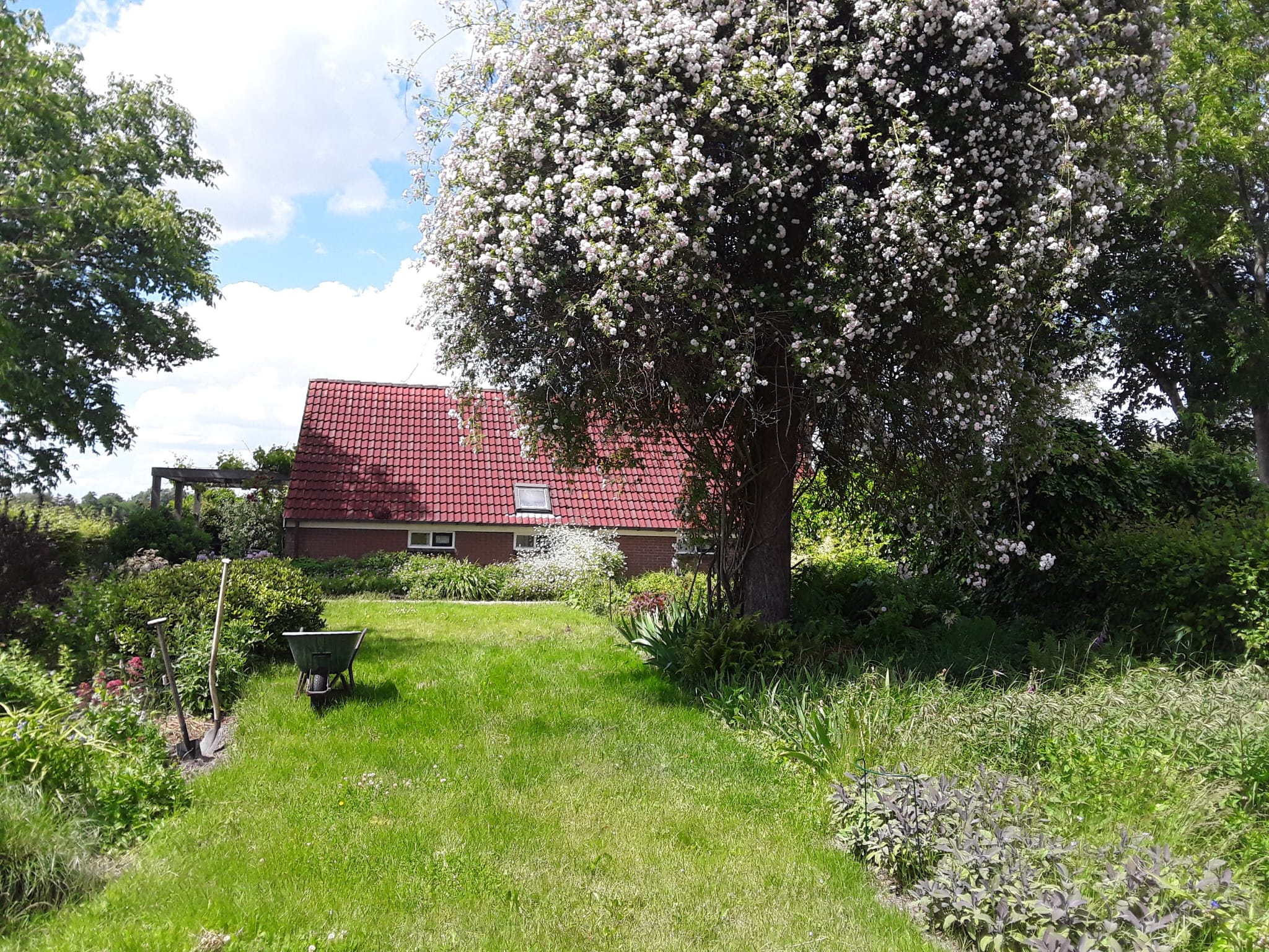 Foto 48 van Rhederweg 198