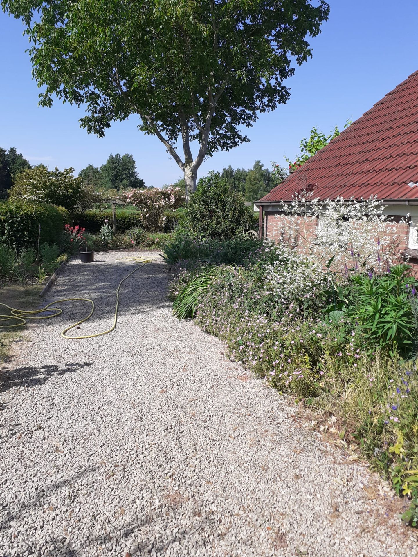 Foto 50 van Rhederweg 198