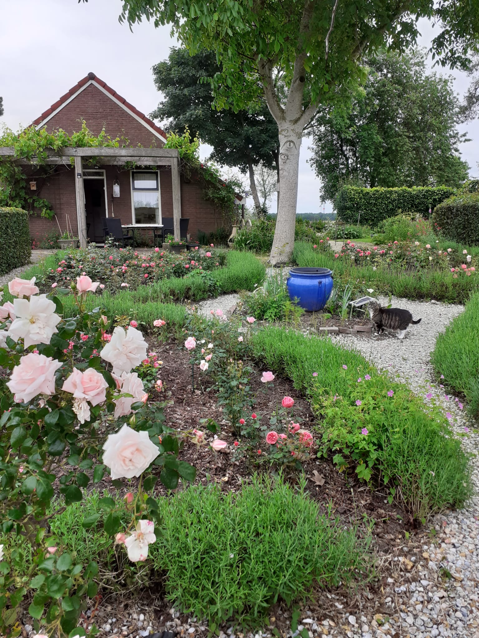 Foto 51 van Rhederweg 198