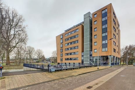 Akkerviool 85 secondary image