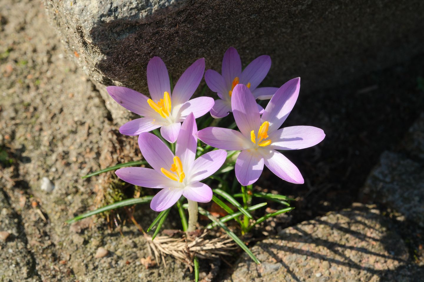 Foto 25 van Hanzelaan 20