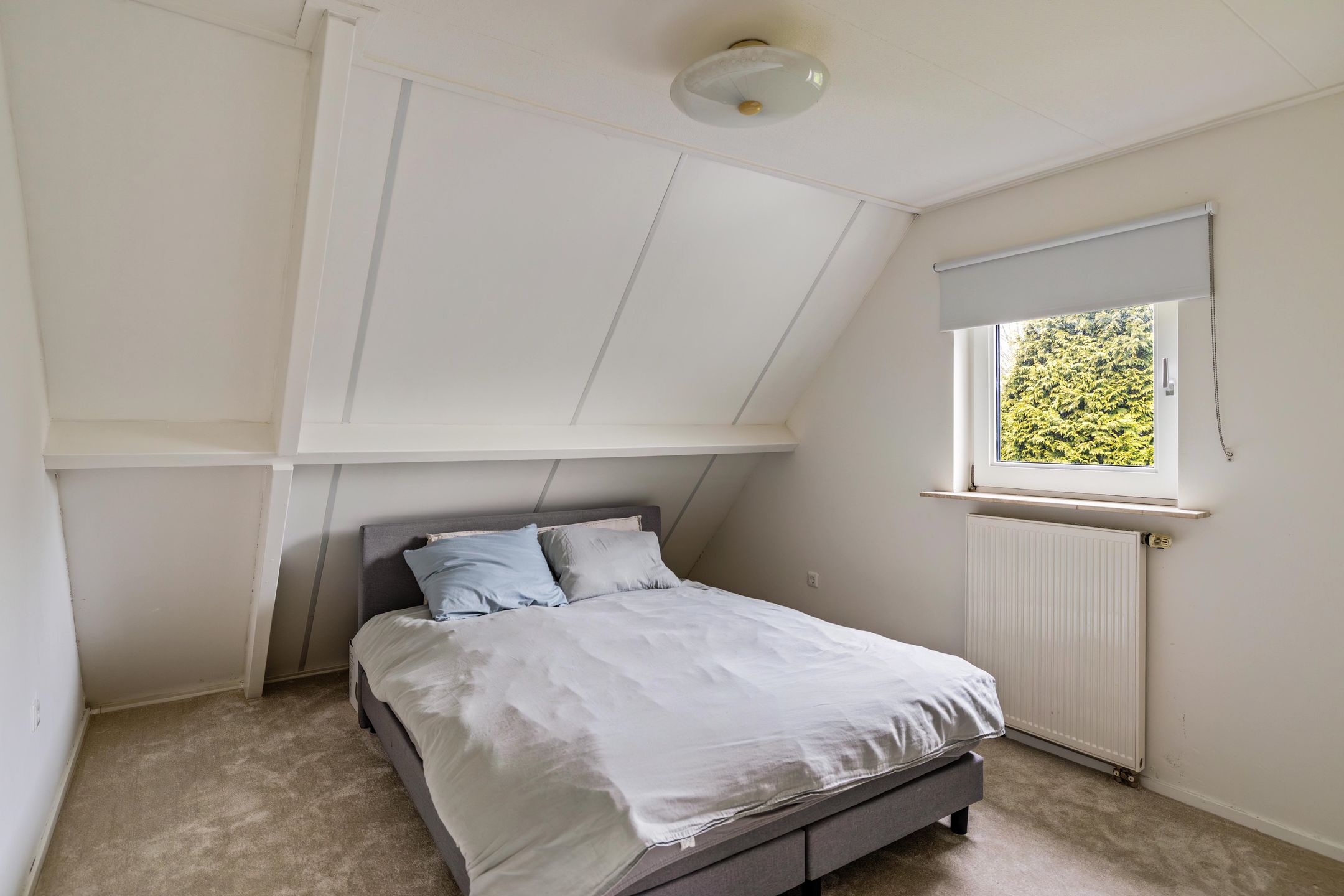 Photo 21 of Windsingel 2