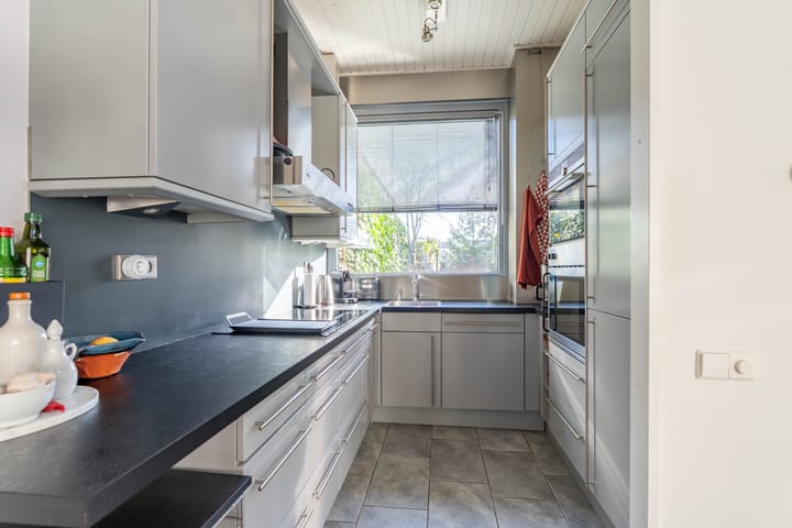 Photo 3 of Atlasvlinder 6