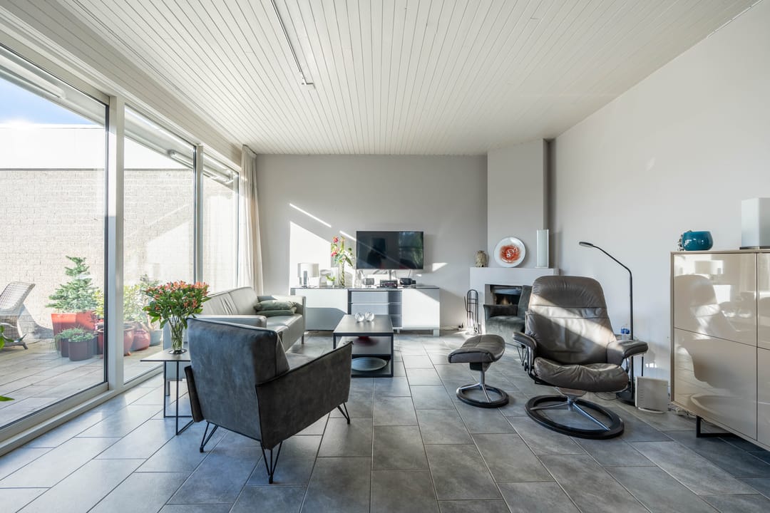 Photo 2 of Atlasvlinder 6