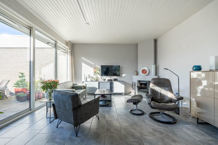 Photo 2 of Atlasvlinder 6