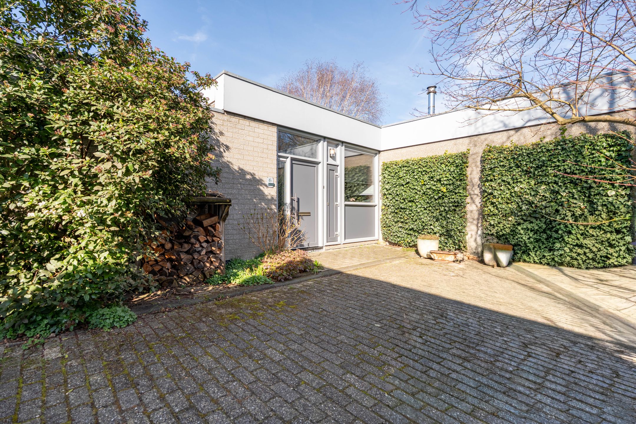 Photo 6 of Atlasvlinder 6