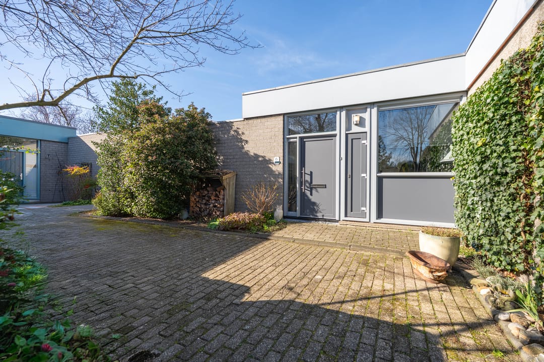 Photo 7 of Atlasvlinder 6