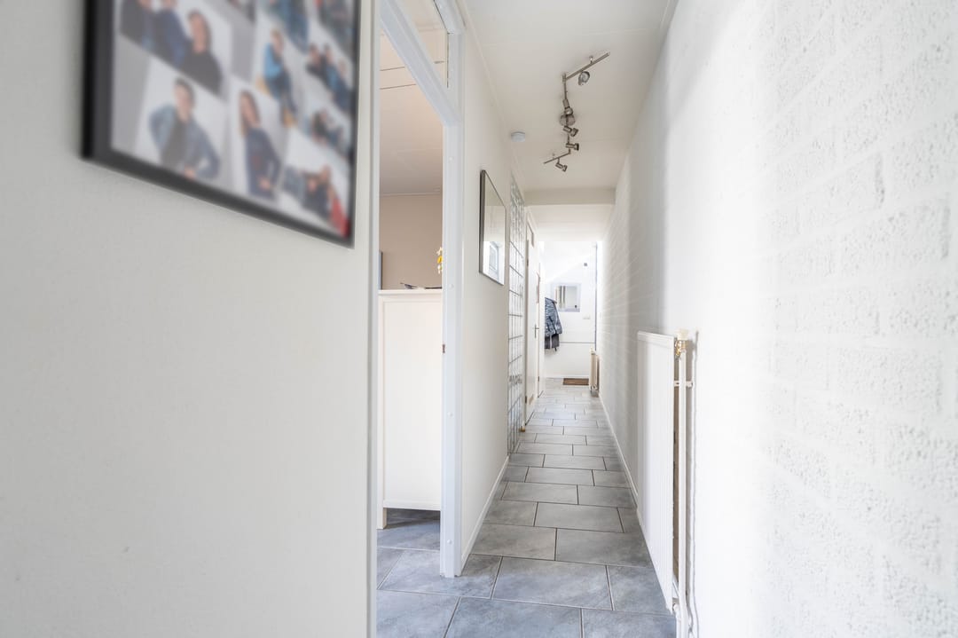 Photo 8 of Atlasvlinder 6