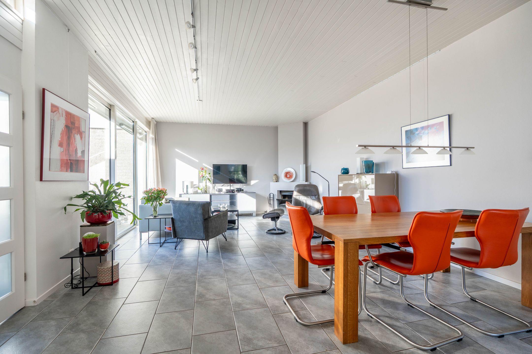 Photo 9 of Atlasvlinder 6