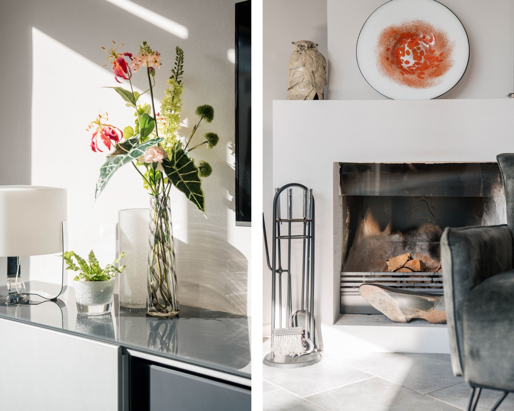 Photo 12 of Atlasvlinder 6