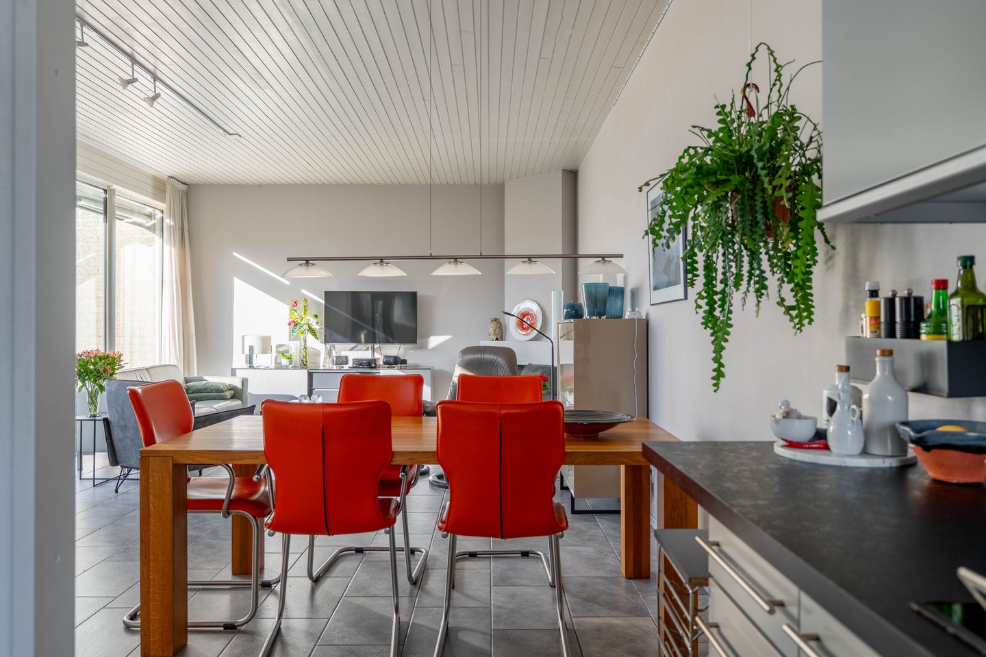 Photo 14 of Atlasvlinder 6