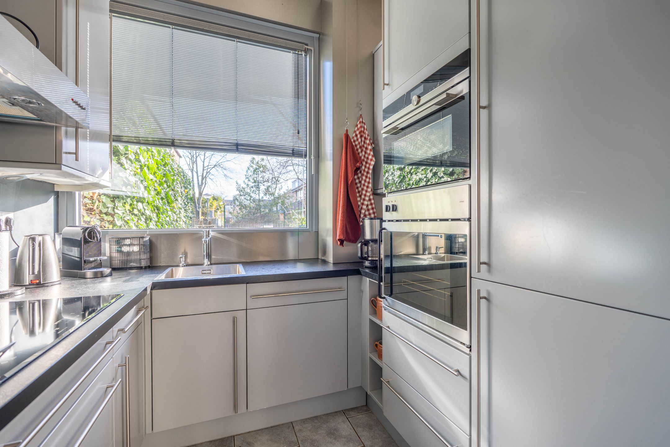 Photo 15 of Atlasvlinder 6