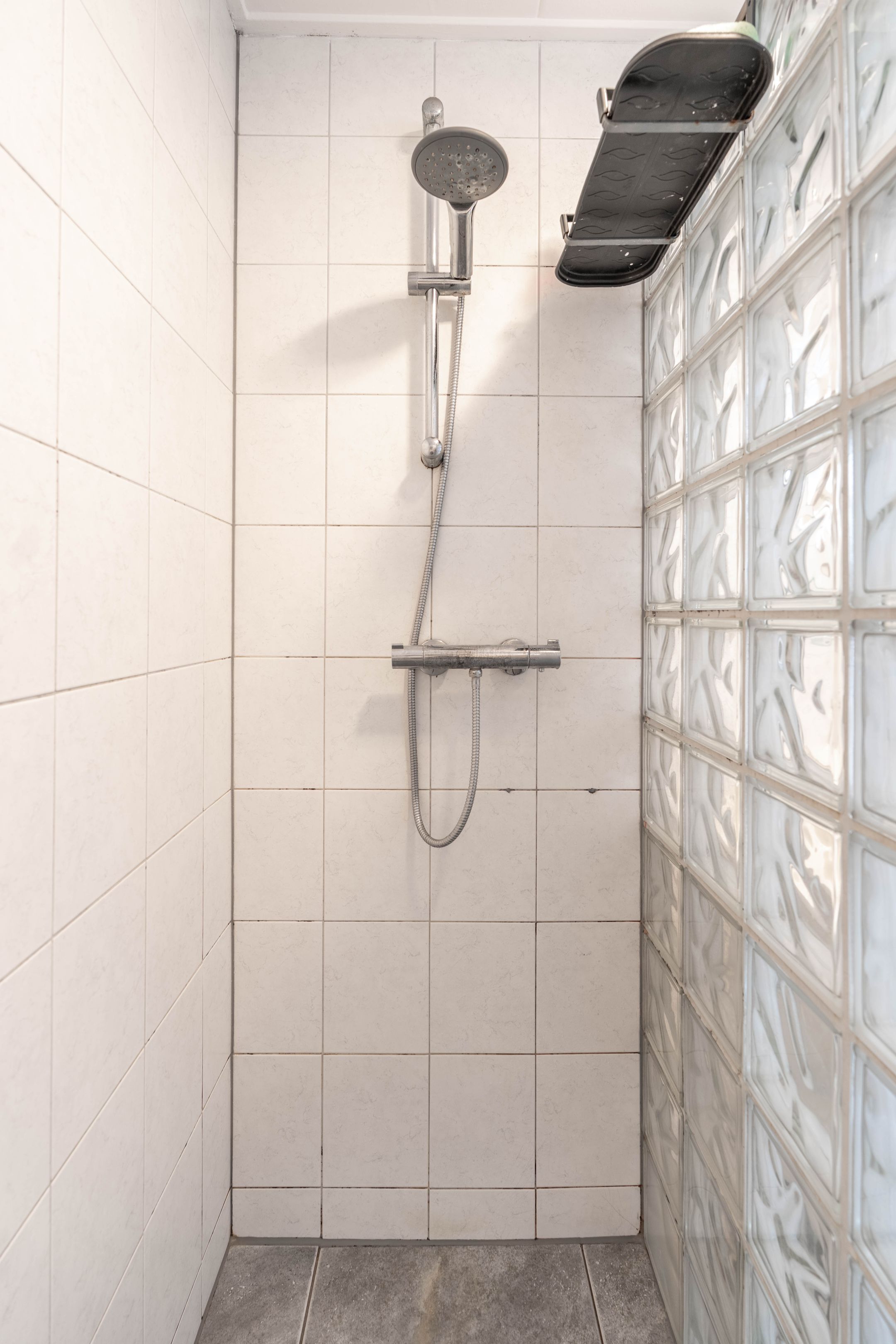 Photo 18 of Atlasvlinder 6