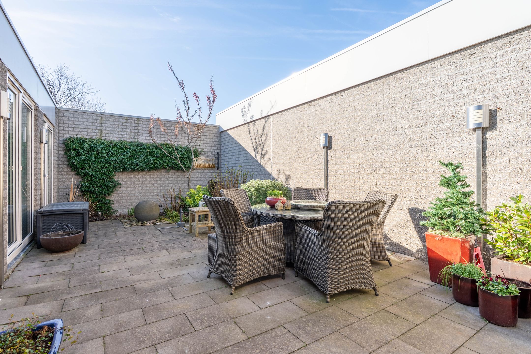 Photo 24 of Atlasvlinder 6