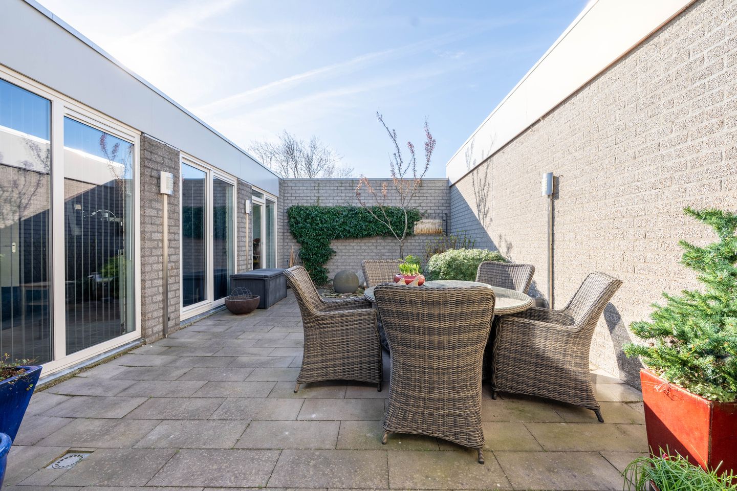 Photo 25 of Atlasvlinder 6