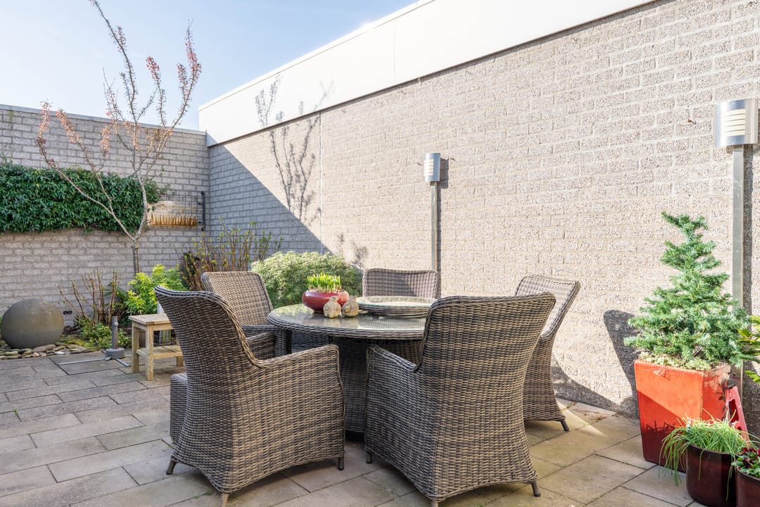 Photo 26 of Atlasvlinder 6