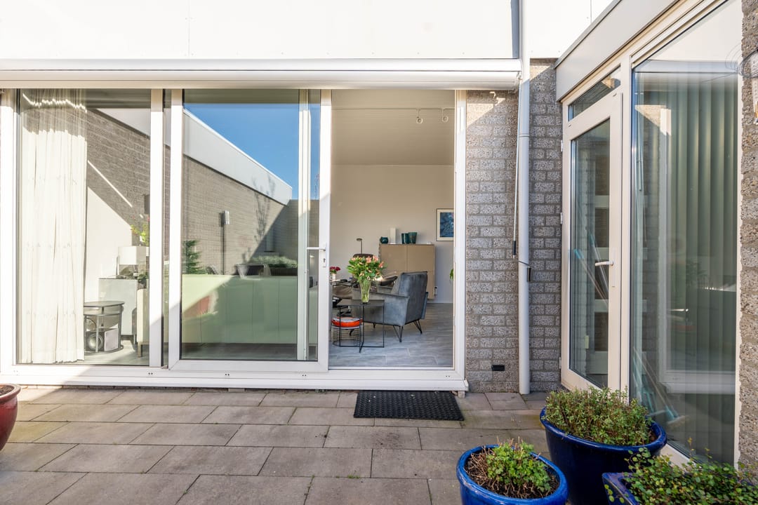 Photo 28 of Atlasvlinder 6