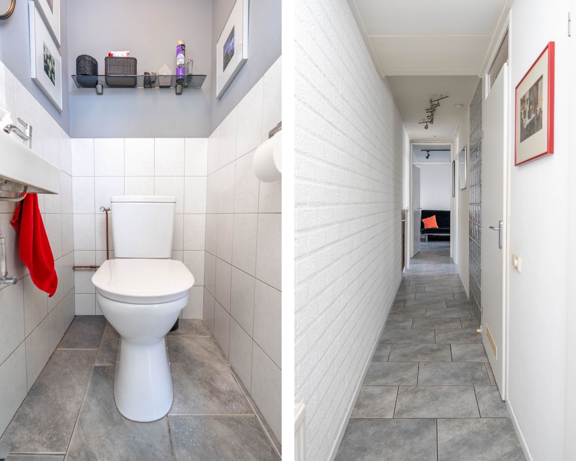 Photo 30 of Atlasvlinder 6