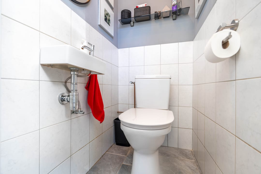 Photo 31 of Atlasvlinder 6