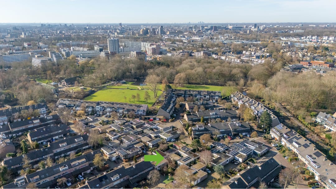 Photo 32 of Atlasvlinder 6