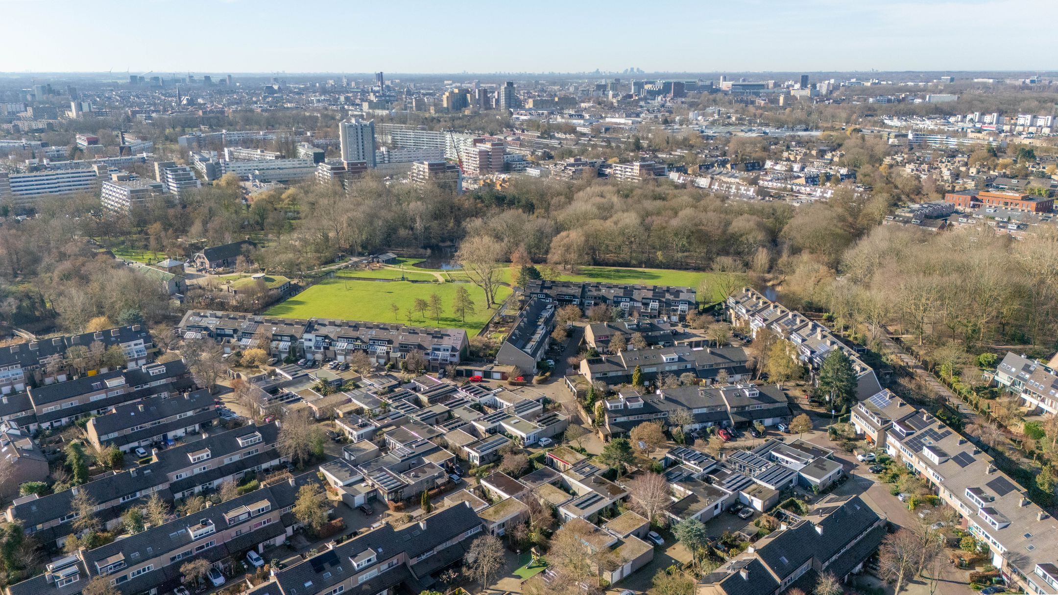 Photo 33 of Atlasvlinder 6