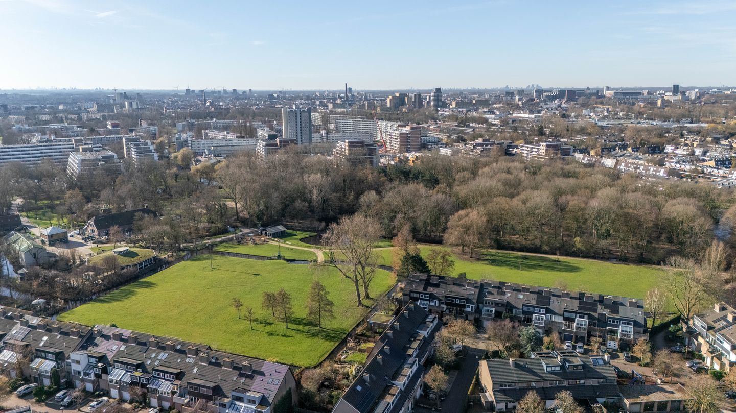 Photo 34 of Atlasvlinder 6