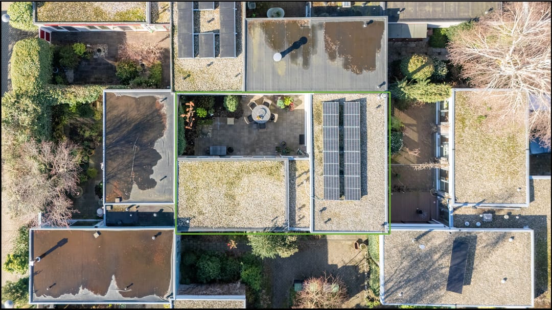 Photo 37 of Atlasvlinder 6