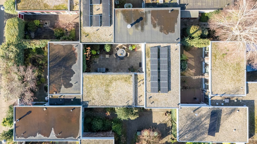 Photo 38 of Atlasvlinder 6