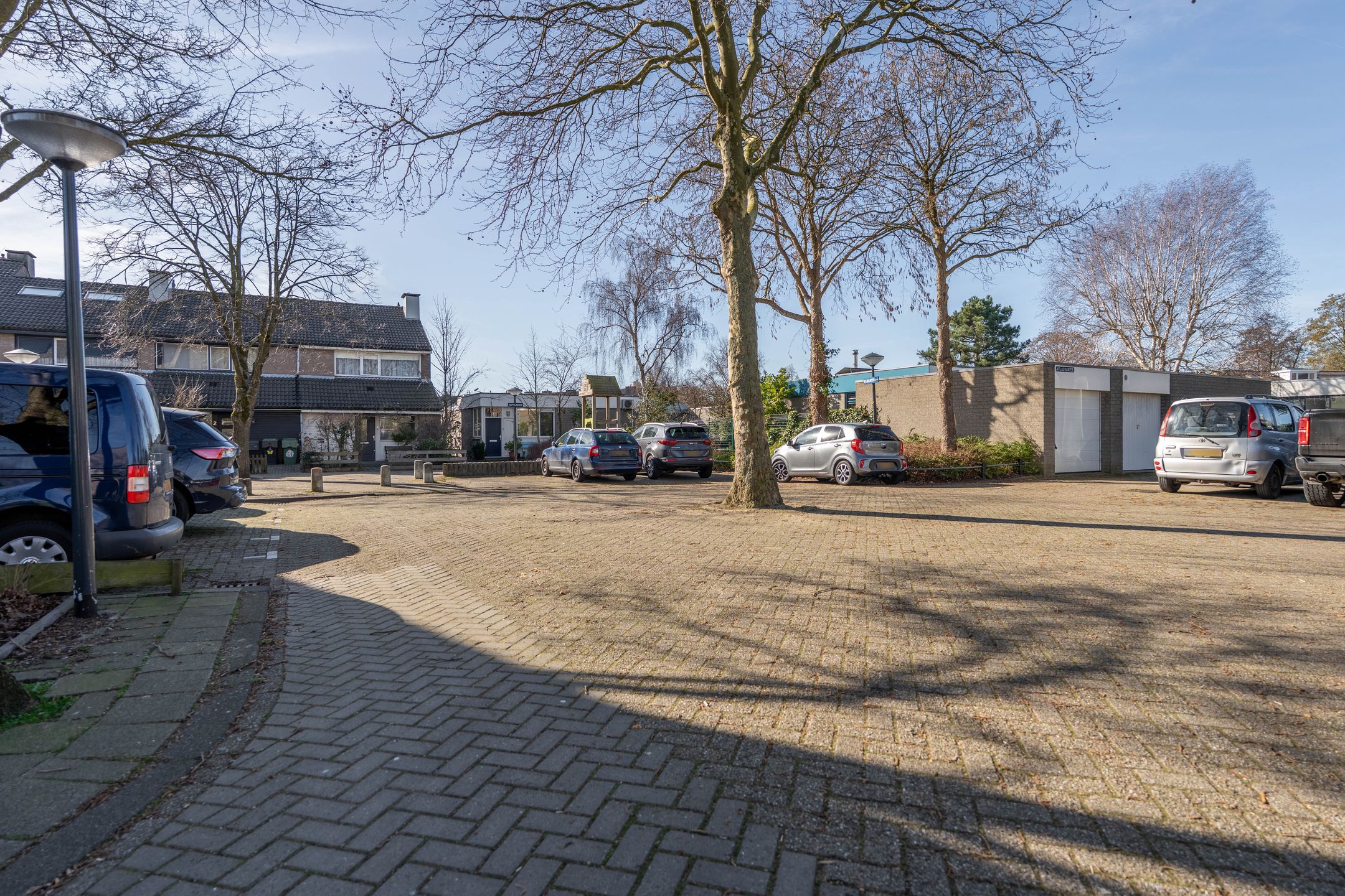 Photo 39 of Atlasvlinder 6