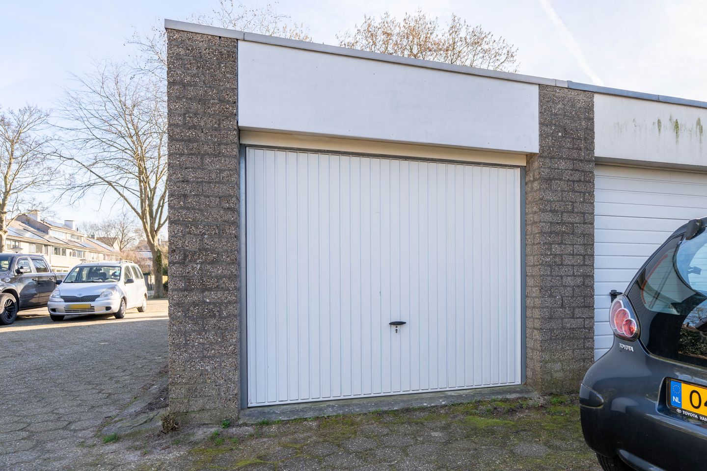 Photo 40 of Atlasvlinder 6