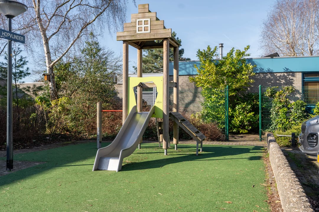 Photo 41 of Atlasvlinder 6