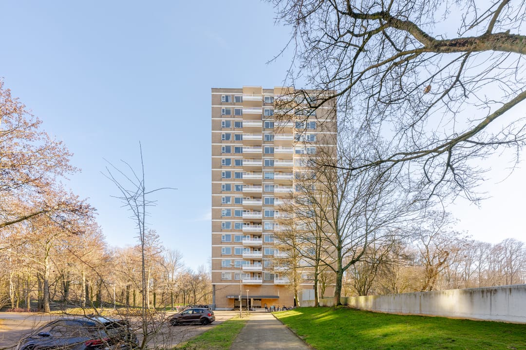 Foto 1 van Nachtwachtlaan 169