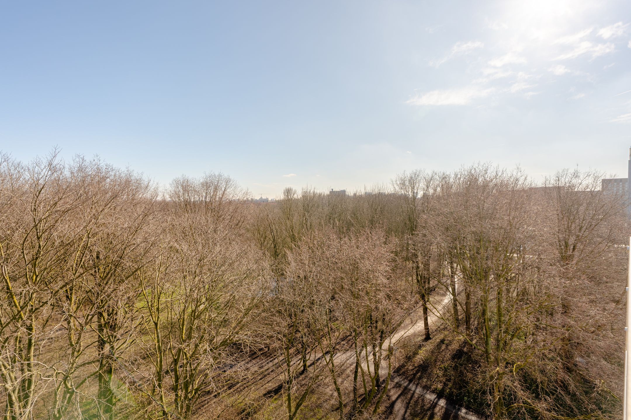 Foto 21 van Nachtwachtlaan 169