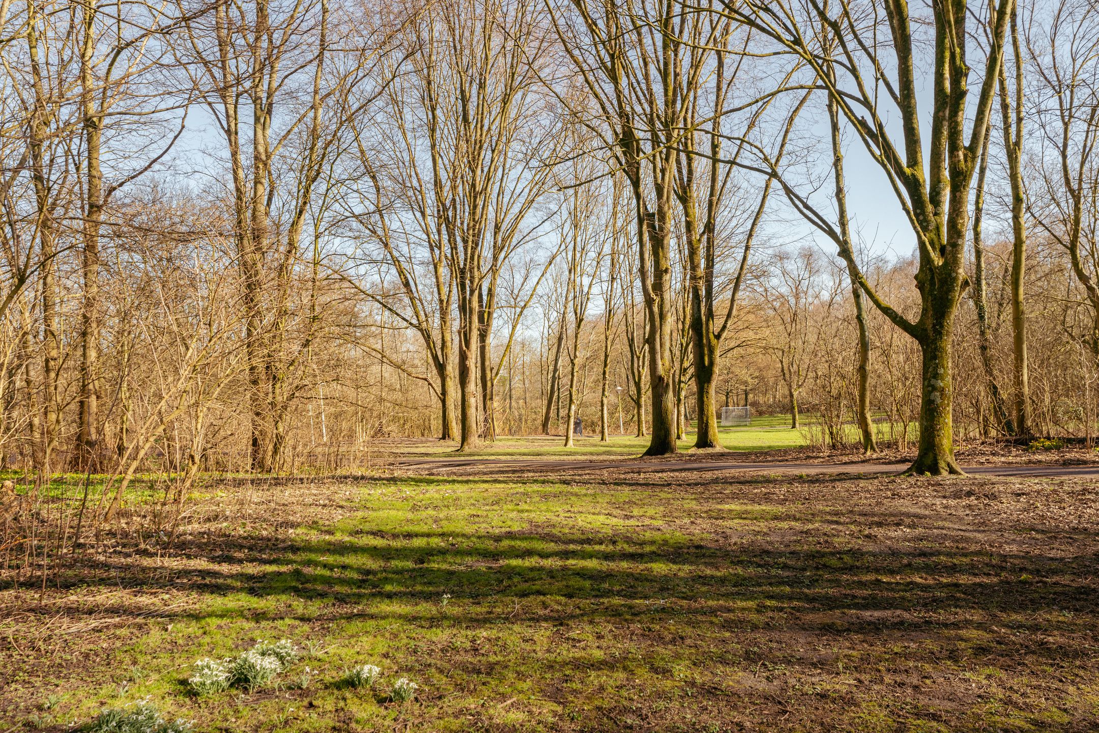 Foto 36 van Nachtwachtlaan 169